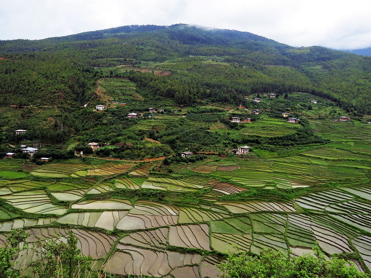 Paro Valley